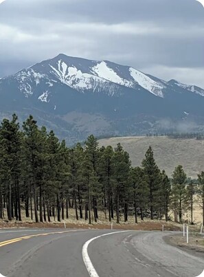 Miscellaneous - Bear’s Den is 2BD cabin nestled in the pines for a peaceful pet-friendly stay. (Flagstaff)