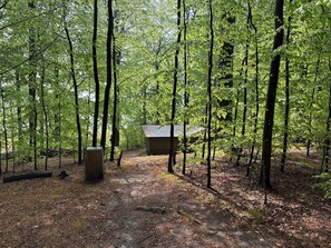 A forested area with a small wooden cabin, a path leading to it, and a large tree stump. - Lovely secluded holiday home near beach (Sydals)