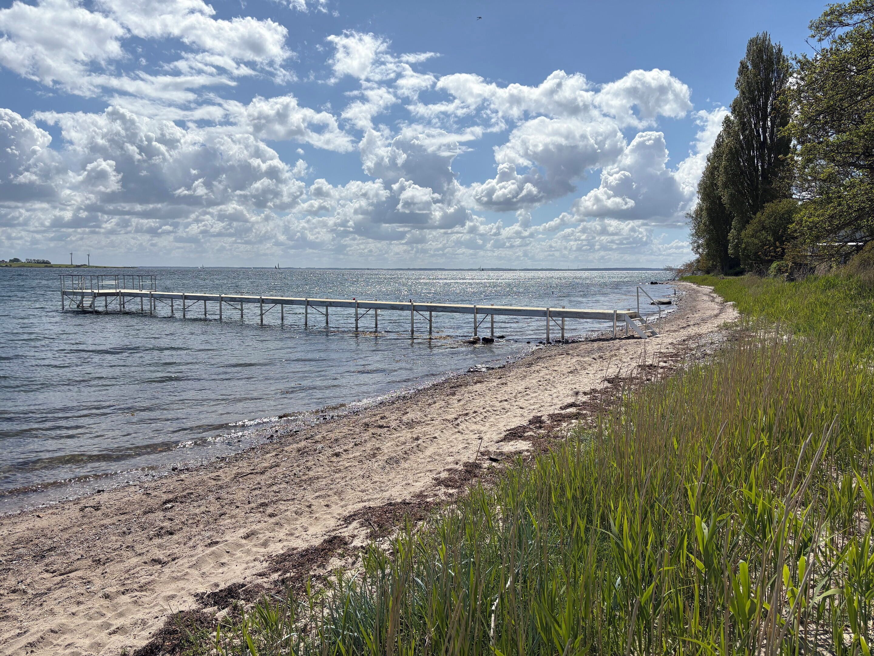 A beach with a wooden pier extending into calm waters, surrounded by greenery and a clear sky.