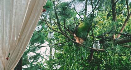 Kap Homestay Pleiku-Lake view