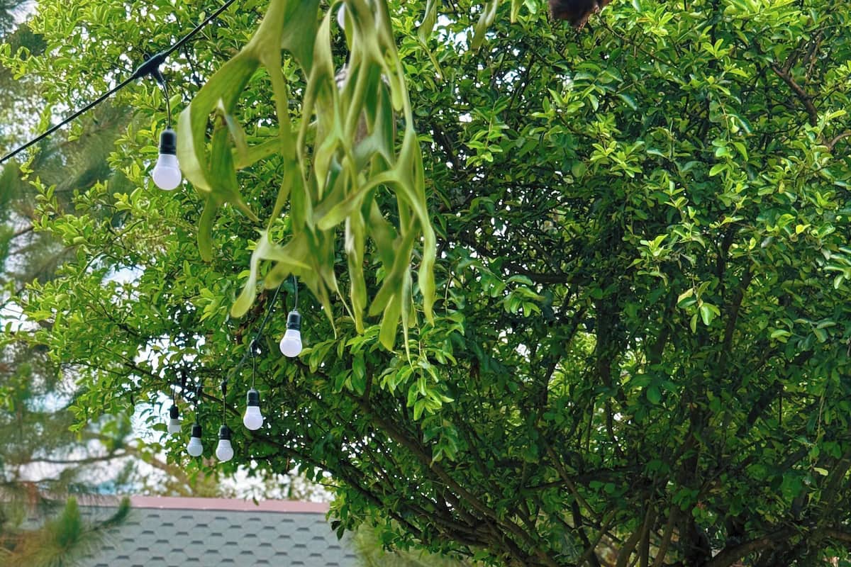 Un área junto a la piscina con dos sillas de madera, una mesita y una guirnalda de luces.