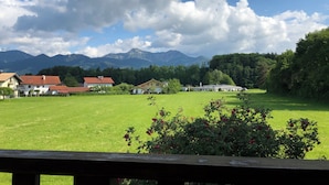 Uklassifisert bilde, 2 av 21, knapp