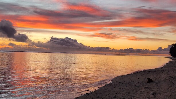 Ein Strand mit ruhigem Wasser, das die Farben des Sonnenuntergangs reflektiert, ein sandiger Uferstreifen und ein Hund rechts im Bild.