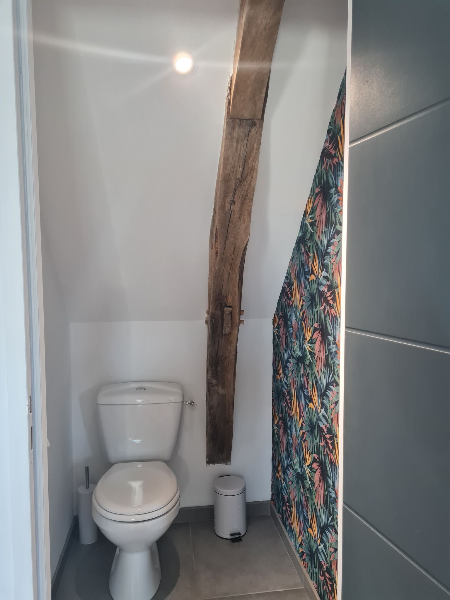 Shower, toilet paper