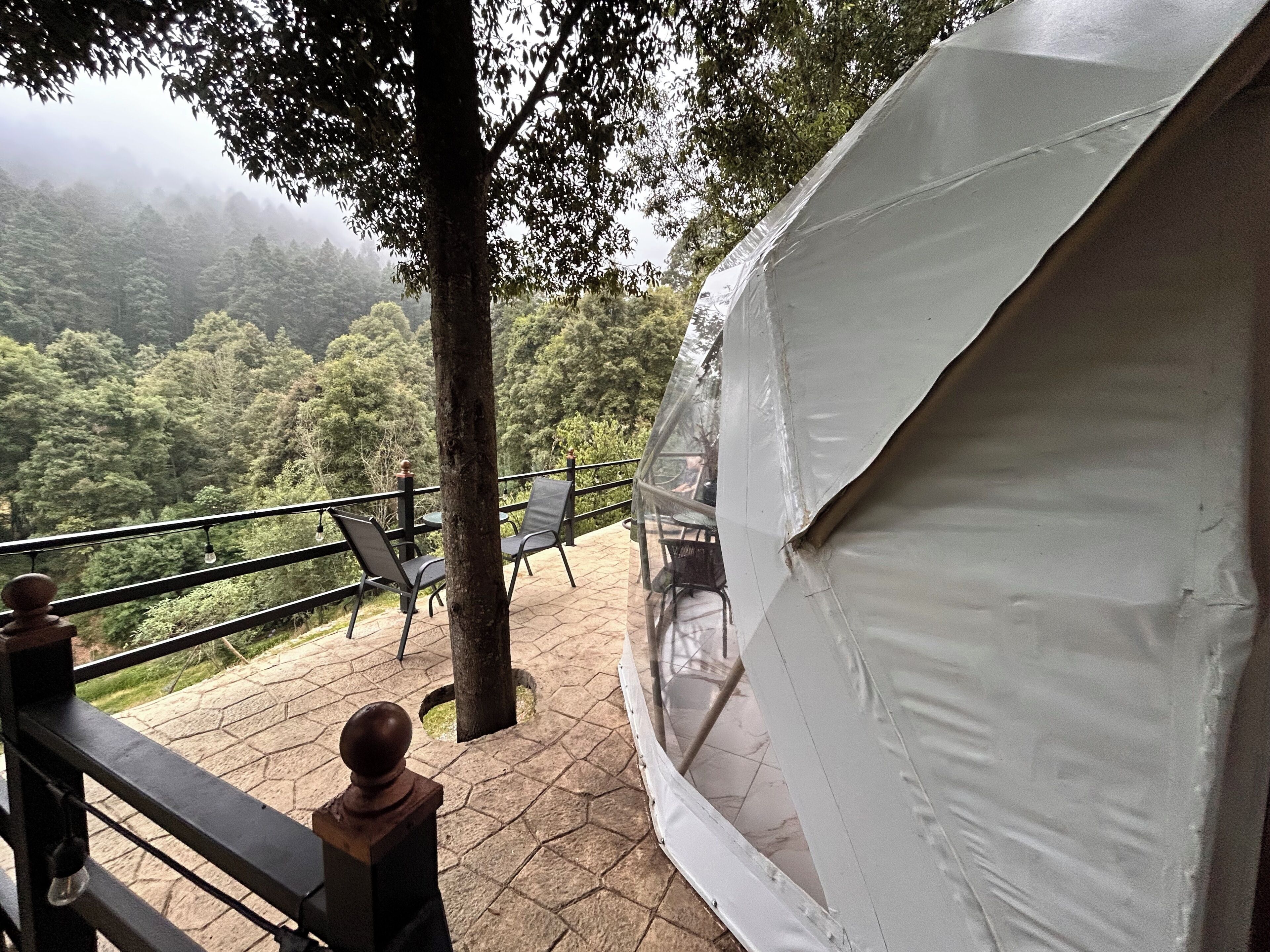 Un espacio con carpas y vista a un valle boscoso.