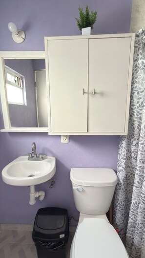 Hair dryer, towels, soap, toilet paper