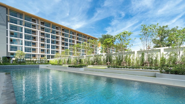 Ảnh chưa phân loại, 1 trong số 39 ảnh, nút