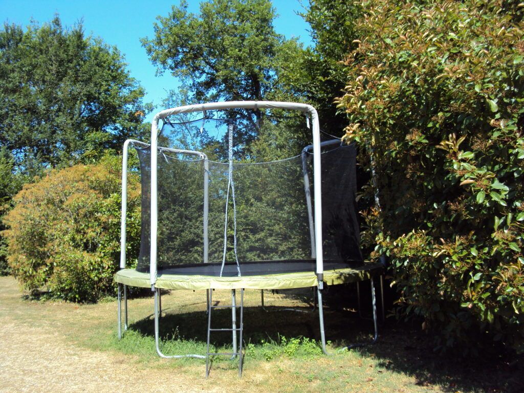 Een trampoline in een tuin met bomen en struiken.