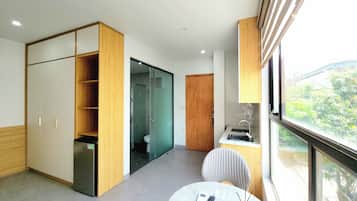 Deluxe Apartment, City View
