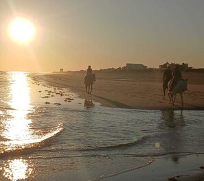 A beach scene with horses and riders, sun, and distant buildings. - Encantame Towers Soleil Resort 15thflr. Cozy brand new 1 bedroom beachside condo (Playa Encanto)