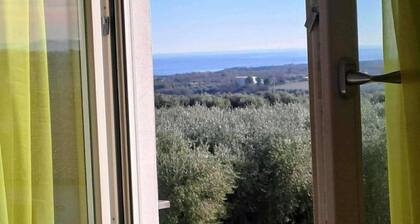 Agriturismo Collina Costa Dei Trabocchi