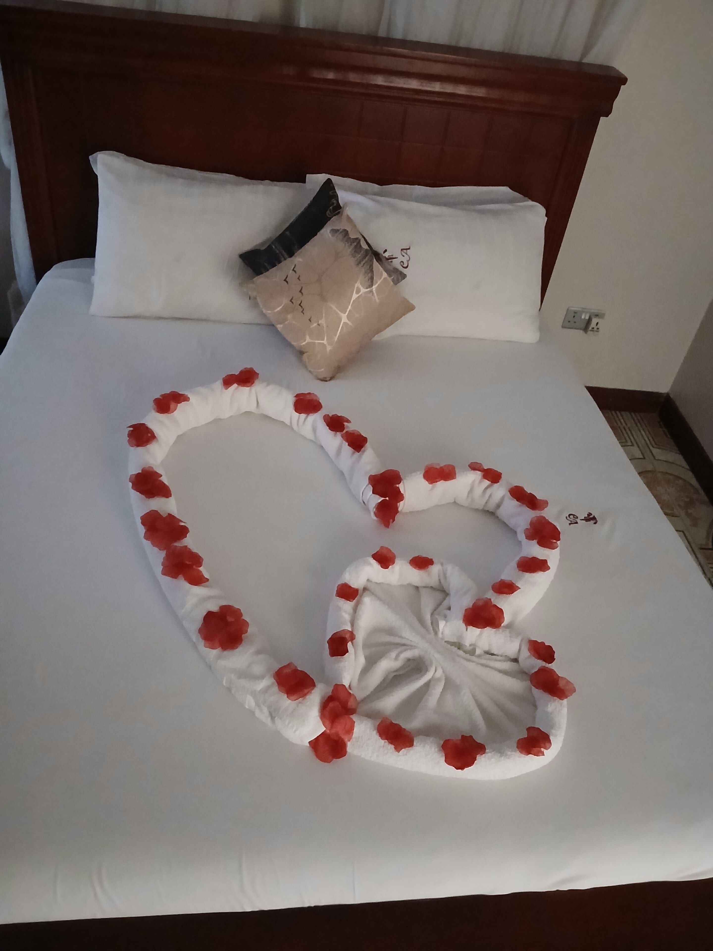 Basic Single Room, Park View | Soundproofing, free WiFi