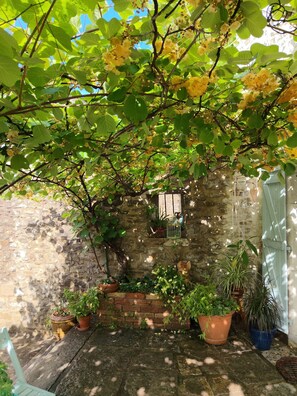 A stone wall with potted plants, a wooden bench, and a rustic door. - The serenity effect (Saint-André-de-Cruzières)