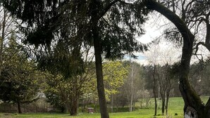 Two outdoor stone tables in a park with grass and trees. - Cozy forest house / Przytulna Chatka w Lesie (Mątki)