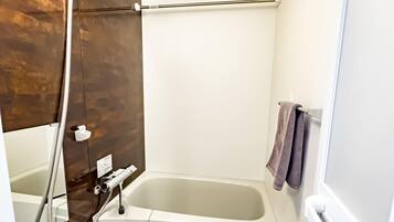 Chuveiro, secador de cabelo, toalhas de banho, shampoo