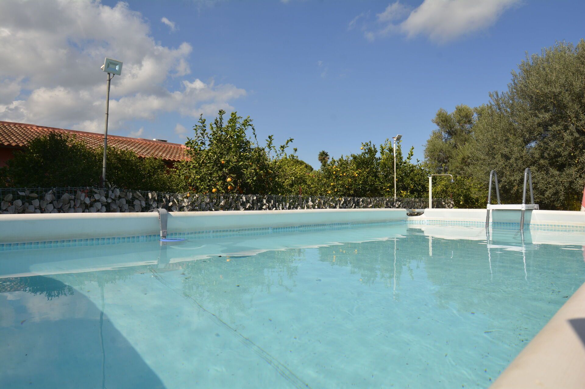 Autumn, Garden, Outdoor, Pool, Spring, Summer