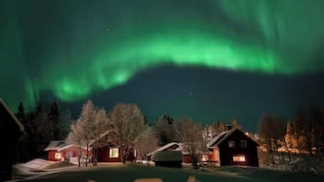 Eksteriør