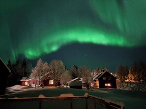 Eksteriør