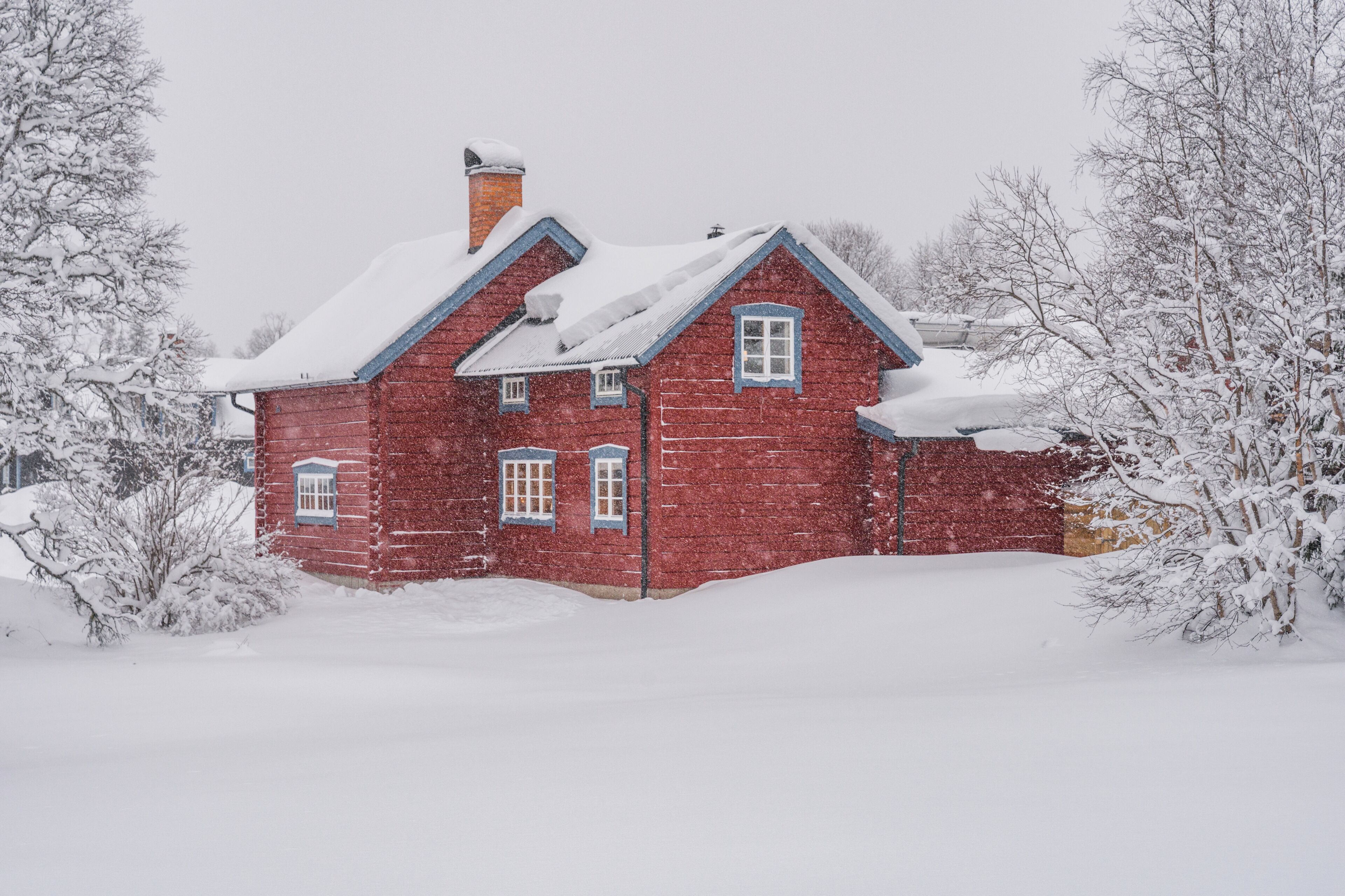 Eksteriør