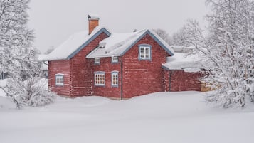 Eksteriør