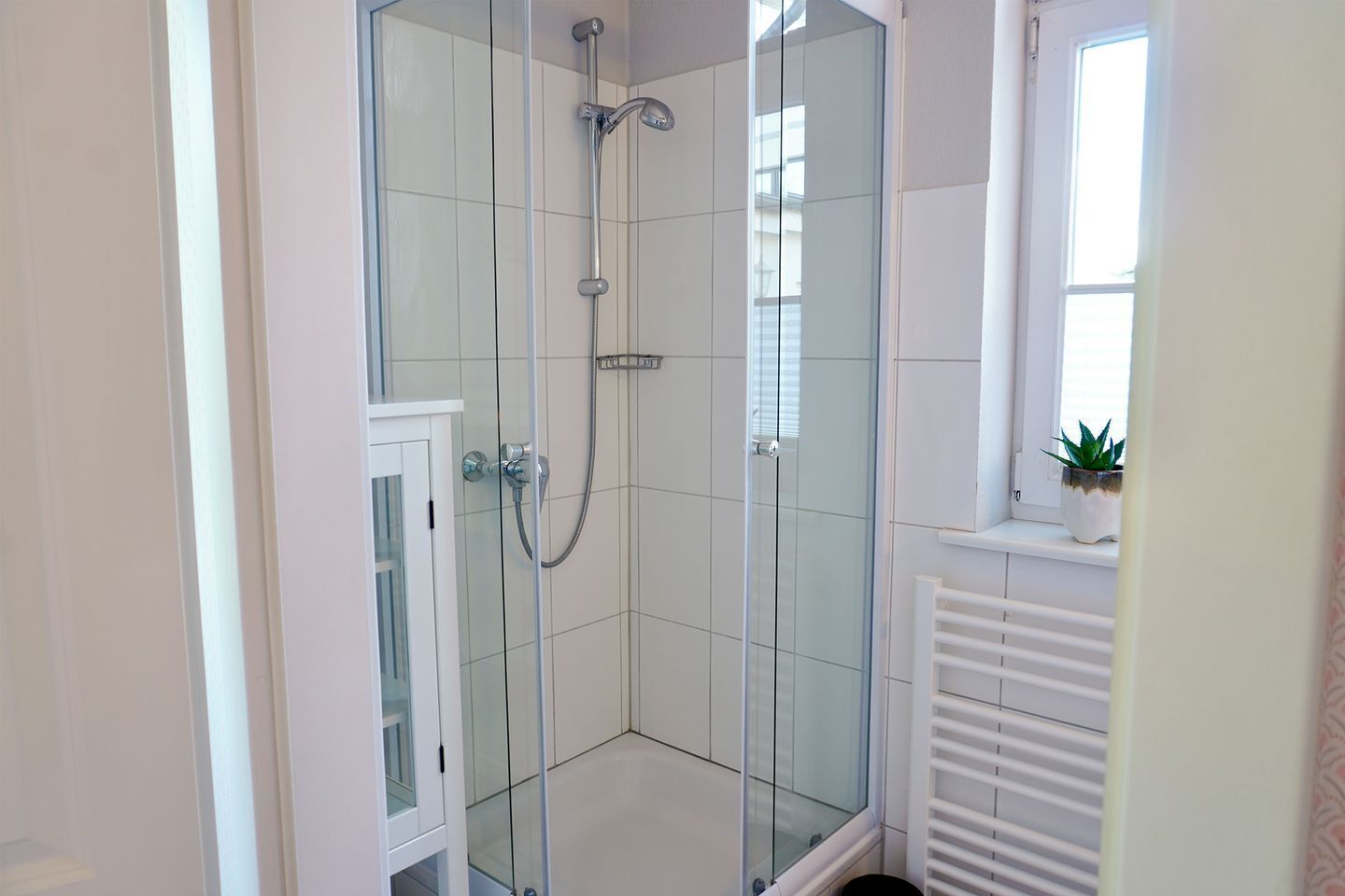 Shower, hair dryer