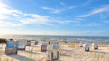 Ein Strand mit mehreren Strandkörben und freiem Blick auf den Ozean.