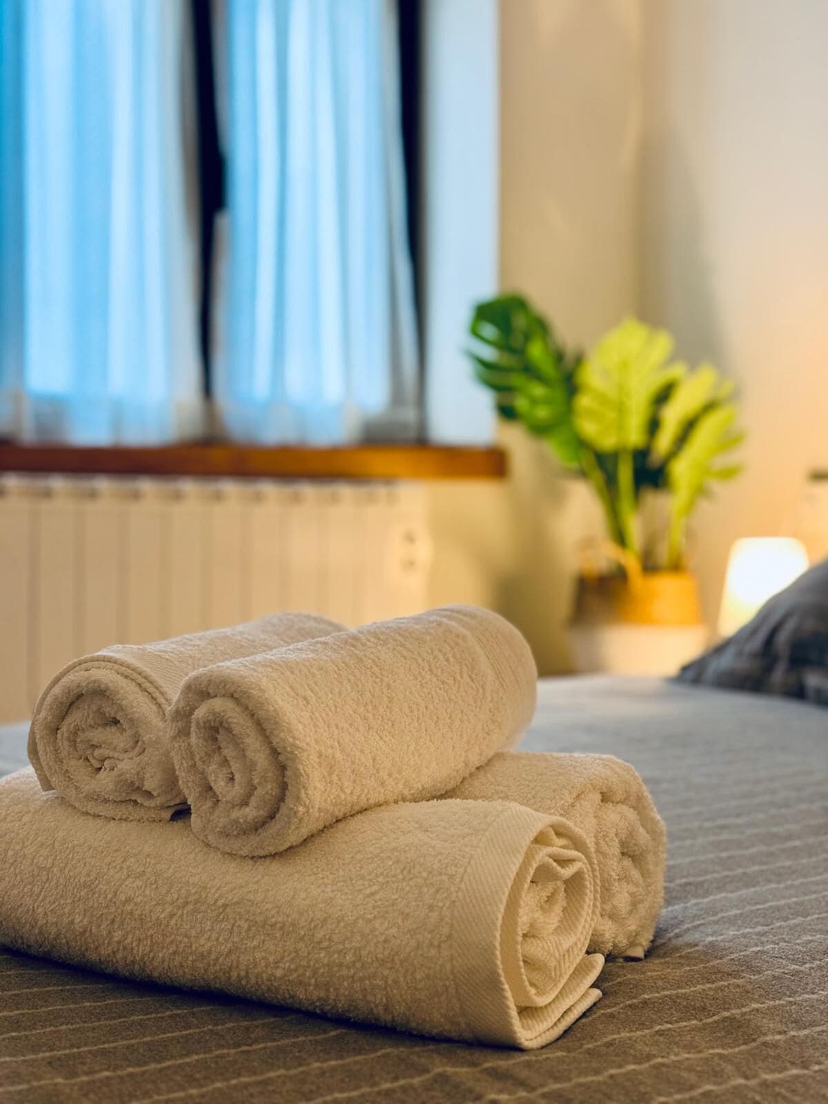 Una toalla beige doblada con cuidado sobre una cama, con una ventana y una planta al fondo.