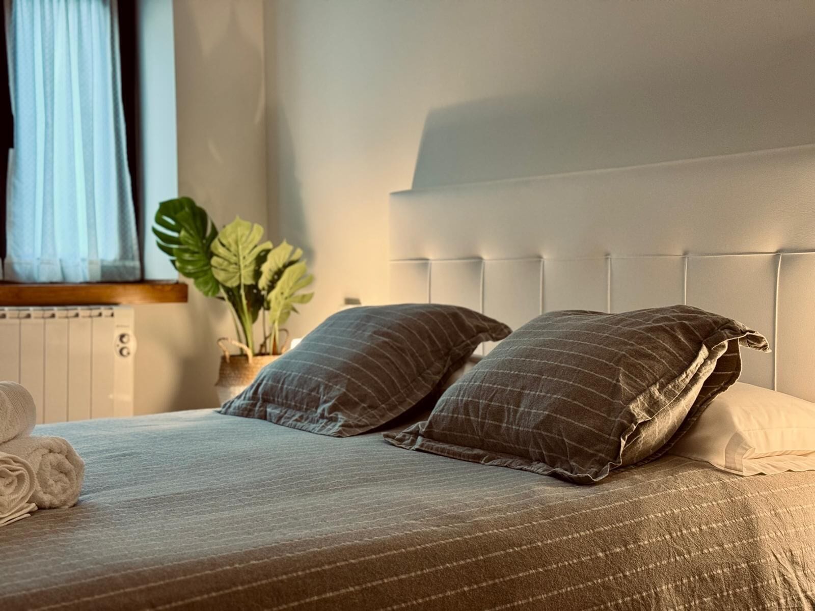 A neatly made bed with a striped bedspread and two pillows, a radiator, a plant, and a window with curtains.