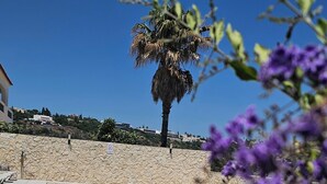 A pool area with lounge chairs, a palm tree, and a stone wall. - Exceptional villa, infinity pool, view of the marina and cliffs, close to beaches. (Albufeira)