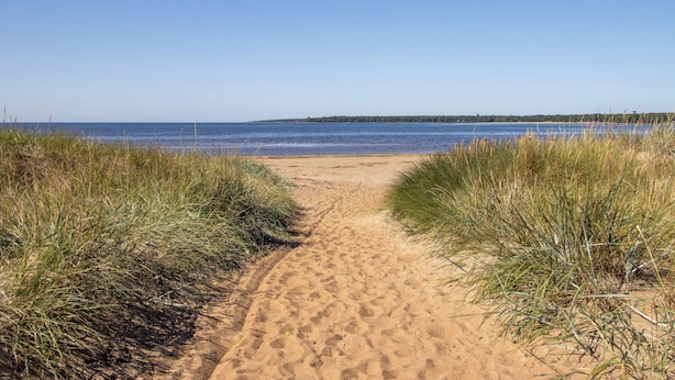 Een zandpad langs het strand dat uitkomt bij een kalme zee, met grasduinen aan beide kanten.