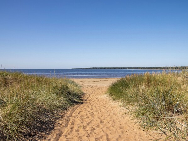 A sandy beach path leading to the water, surrounded by tall grass. - Skeaberg by Interhome (Halmstad)