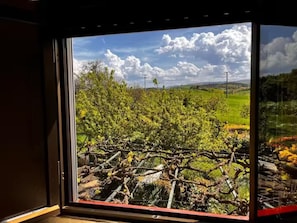 A window with a view of a landscape featuring trees and a cloudy sky.