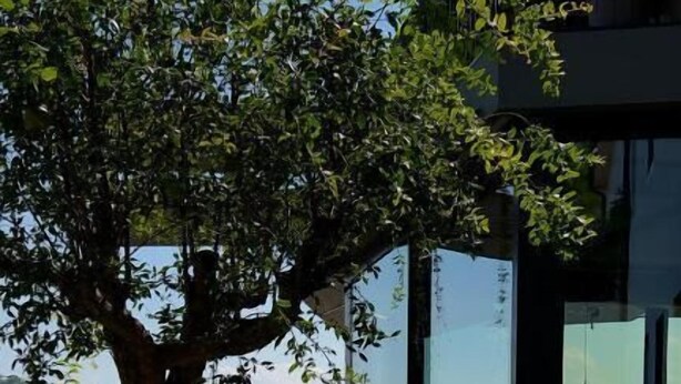 An outdoor dining area with a large tree, tables, and chairs, overlooking a scenic landscape. - Stilla Rooms and Contemporary Cuisine (Colognola ai Colli)