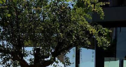 Stilla Rooms and Contemporary Cuisine