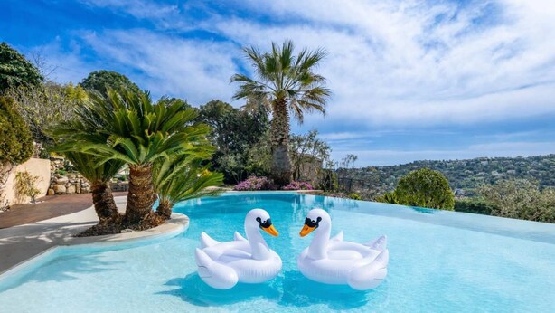 A swimming pool with two swan inflatable toys, surrounded by palm trees and a view of a hilly landscape. - Villa Picasso # Panoramic View - Luxury - Jacuzzi (Vallauris)