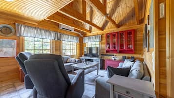 TV, fireplace, DVD player