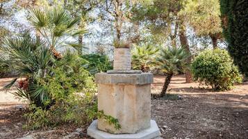 Un monument de pierre situé dans un parc, entouré d’arbres et d’arbustes.