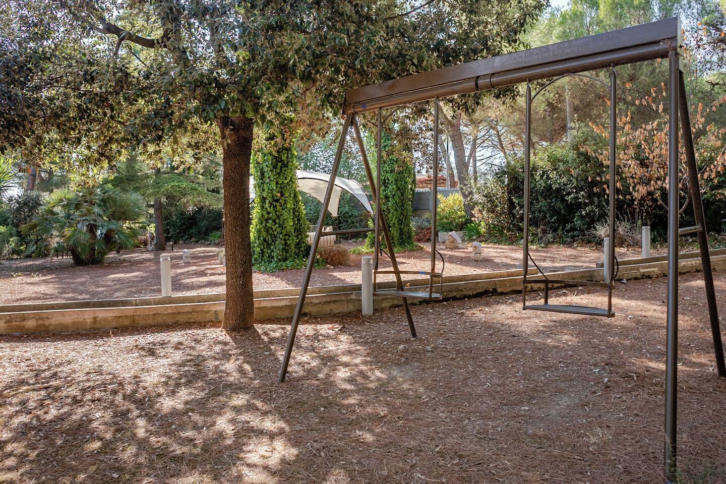 Um balanço em um jardim com árvores e arbustos.
