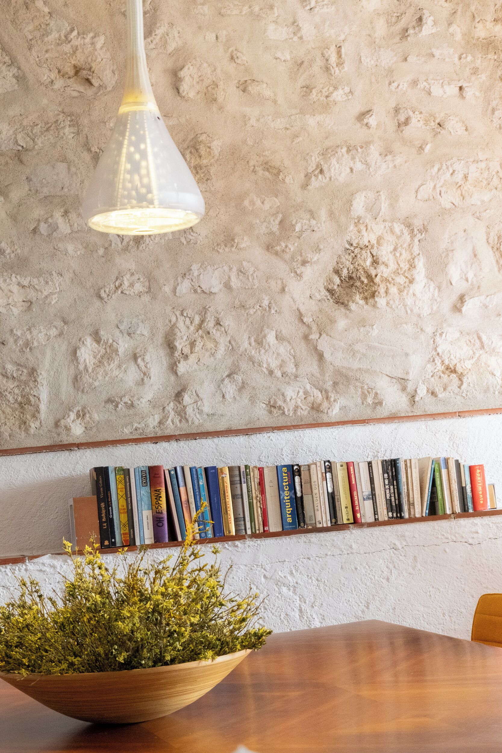A wooden table with a bowl of green plants, a bookshelf with books, and a textured wall.