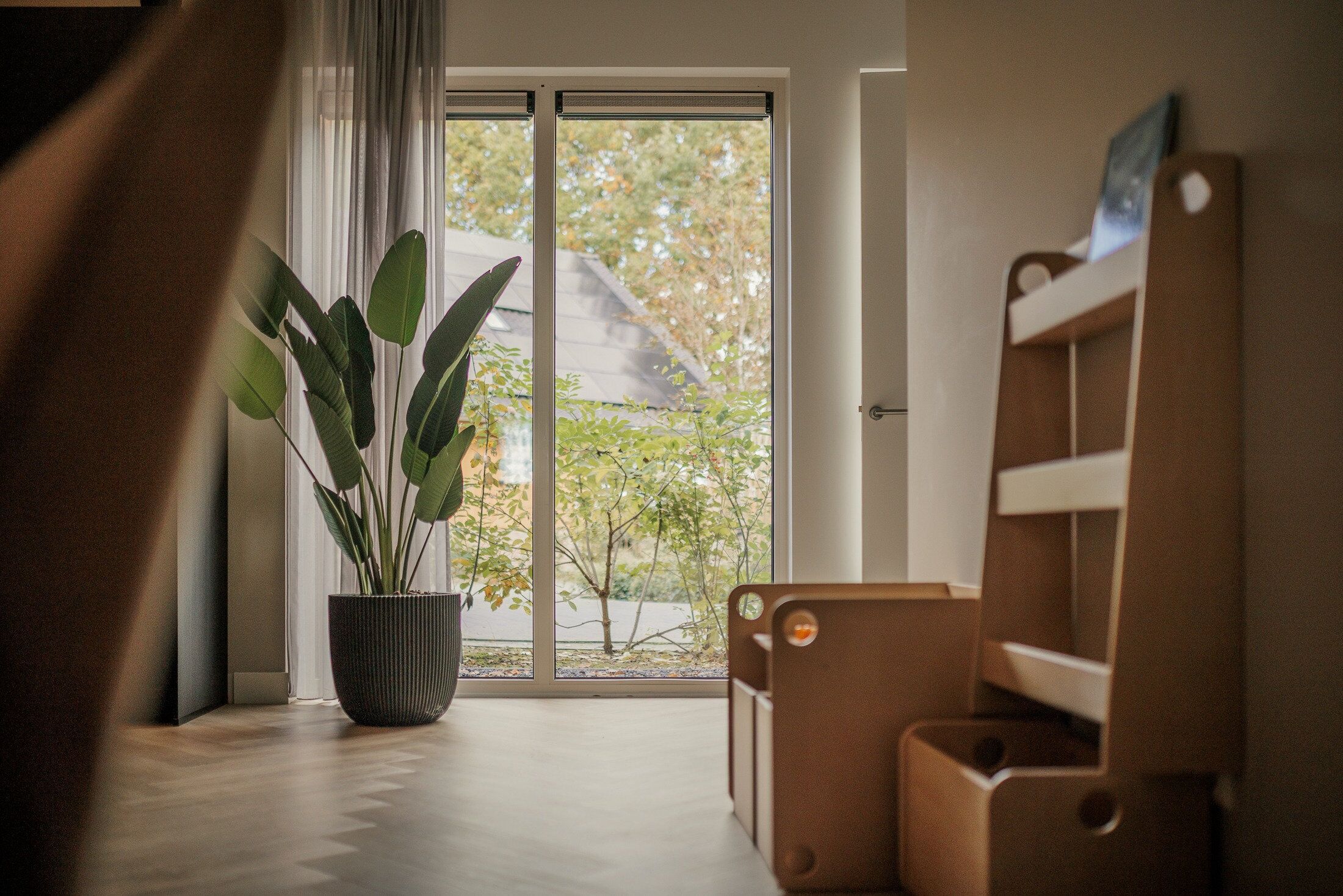 Une pièce avec une grande fenêtre, une plante en pot et un banc en bois.