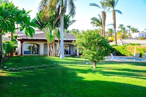 A house with a tiled roof, a swimming pool, and palm trees.