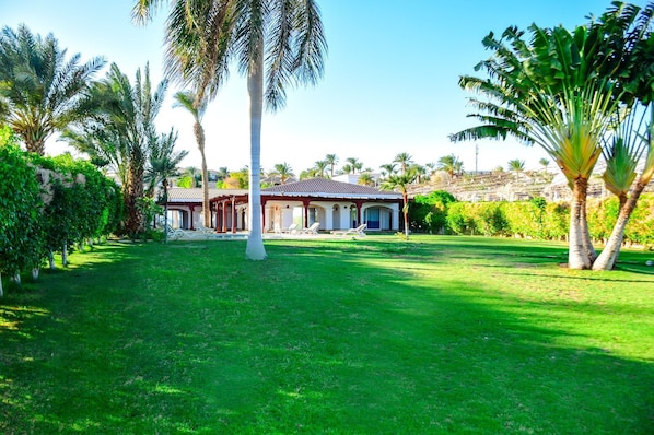 A house with a covered patio, surrounded by a well-maintained lawn and palm trees.