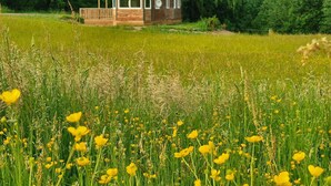Eine Holzhütte mit geneigtem Dach, umgeben von einem Feld gelber Blumen und dichten, grünen Bäumen.