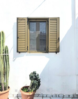 Ein Fenster mit Fensterläden, ein Kaktus und ein Blumentopf vor einer weißen Wand.