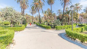 Un sendero pavimentado bordeado de palmeras y cactus, que conduce a un edificio con cúpula.