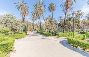 A paved pathway lined with palm trees and cacti, leading towards a building with a dome. - 1 bedroom amazing apartment in Palermo (Palermo)