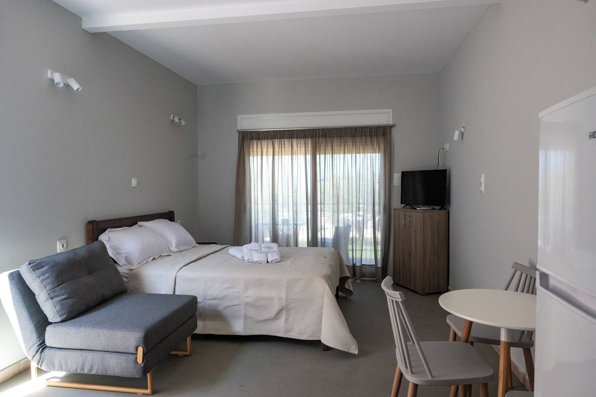 Et hotelværelse med en seng, en grå sofa, et lille bord med stole, et fjernsyn og et klædeskab.