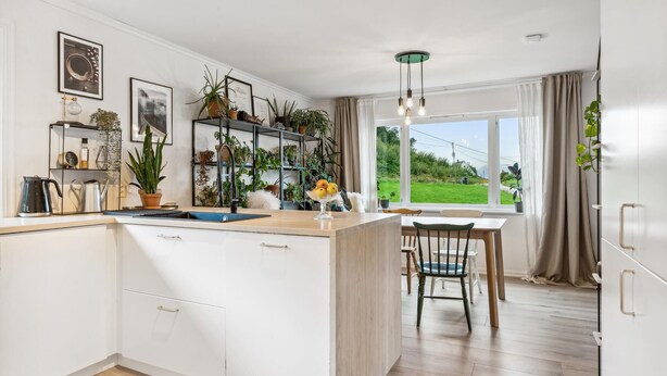 Een moderne keuken met een centraal eiland, een eetgedeelte met uitzicht, en diverse potplanten.