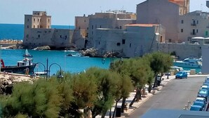 A coastal town with historic buildings, a marina, and a road lined with trees. - VENTO DI BOLINA (Giovinazzo)