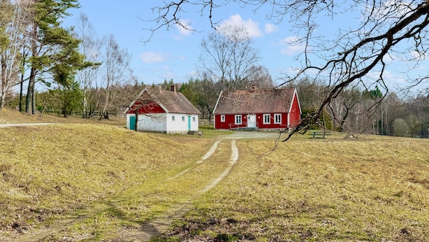 Ett lantligt landskap med två röda byggnader, en grusväg och omgivande träd.